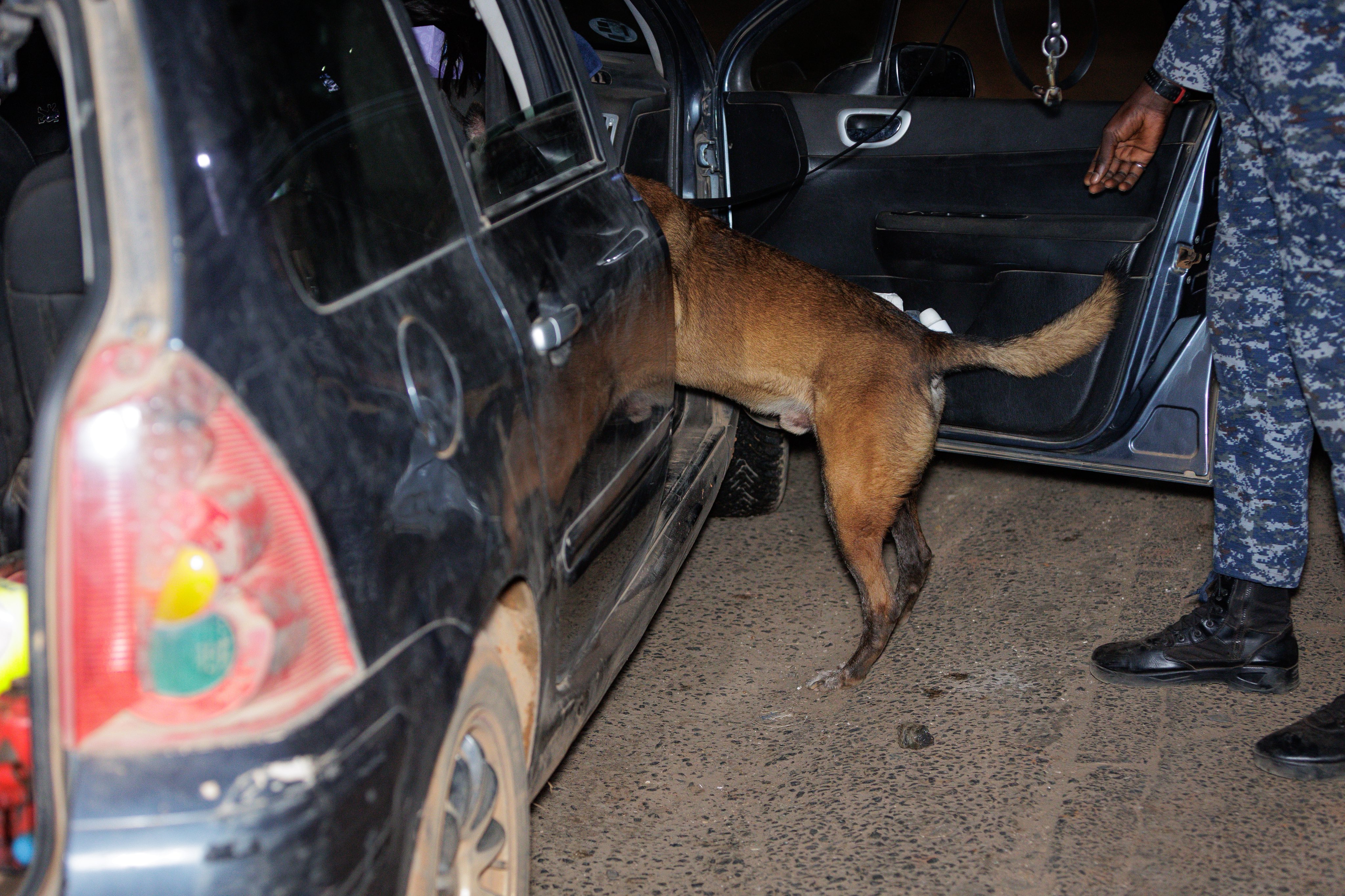 Opération de sécurisation mixte Police- Gendarmerie: 554 personnes interpellées, 38 véhicules immobilisés