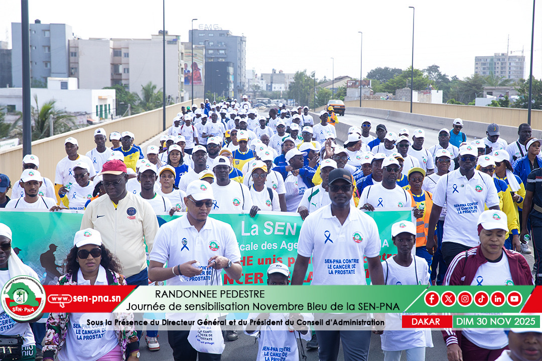 Cancer de la prostate : Plus de 1 000 cas par an, la SEN-PNA sonne l’alarme et mobilise