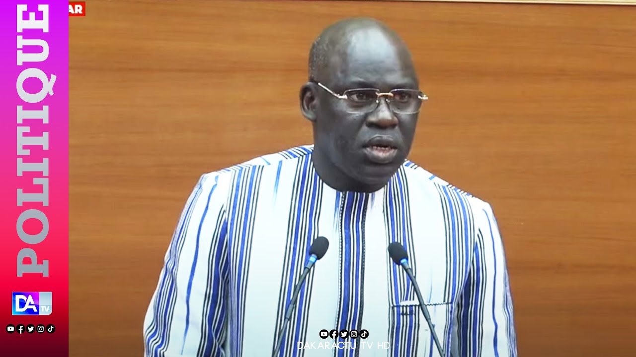 Assemblée nationale : Les interpellations du député Mbaye Dione au ministre Moussa Bala Fofana
