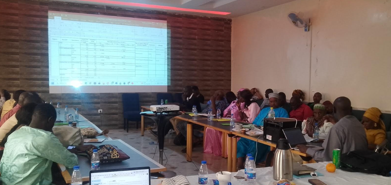 Lutte contre la pauvreté à Kolda: le PADAER II renforce l’accompagnement des organisations paysannes après la récolte