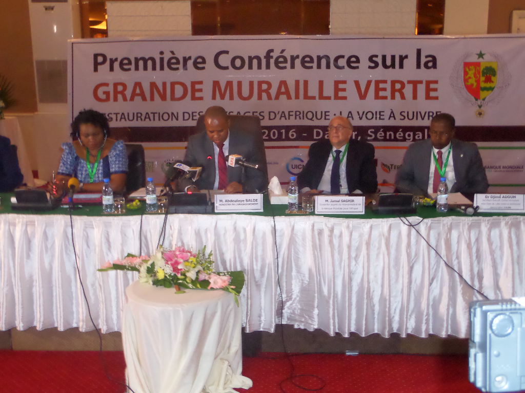 Grande muraille verte : Les pays africains s’engagent 