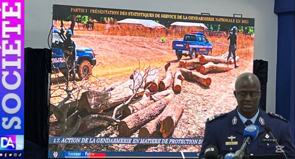 Lutte contre le pillage des ressources naturelles : la Gendarmerie ...