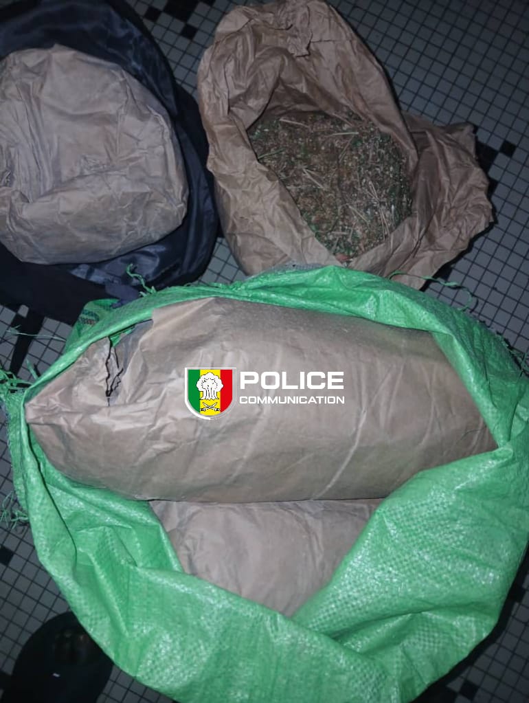 Ziguinchor : saisie de 6 kg de chanvre indien sur l’axe Sindian-Bignona