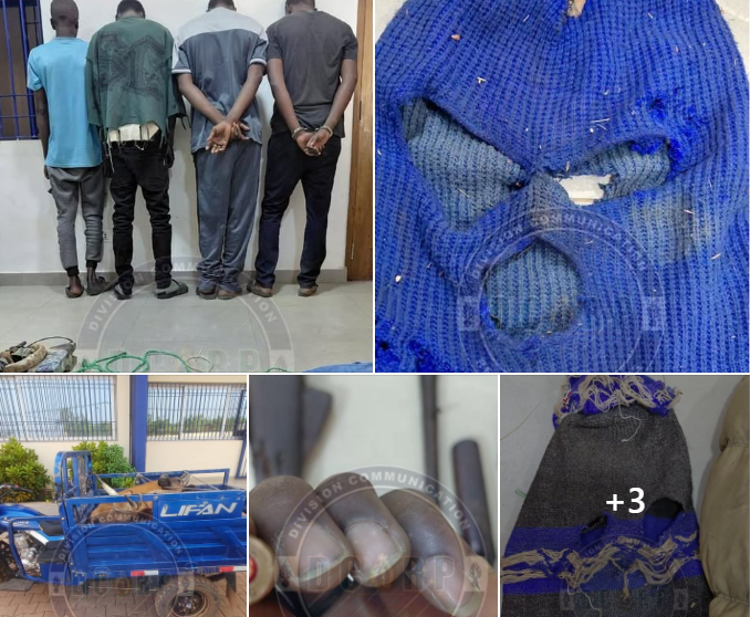 Lutte contre la criminalité : une bande armée démantelée à Kédougou