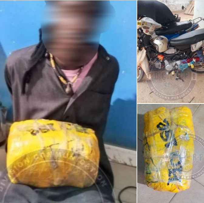 Lutte contre la drogue : un individu arrêté à Diannah Malary avec 2 kg de chanvre indien