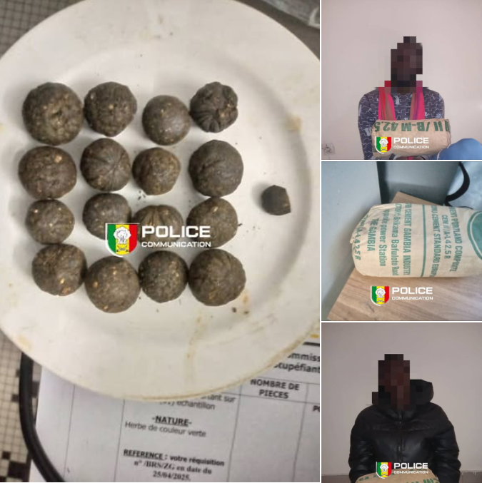 Trafic de drogue : saisie de chanvre indien et de haschich sur deux individus par la BRS de Ziguinchor