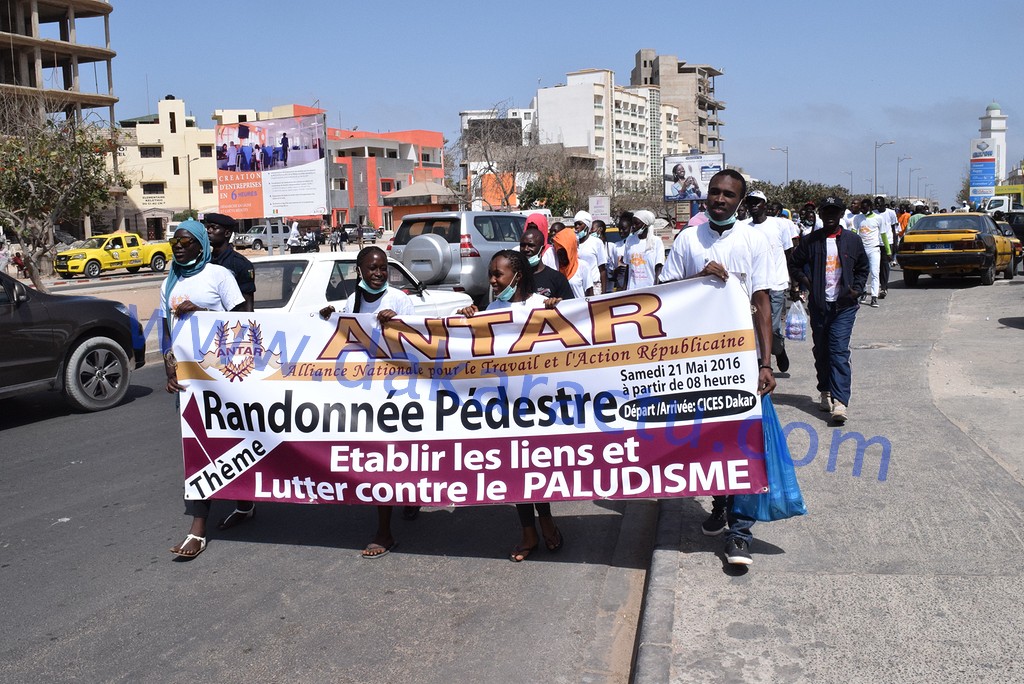 L'Alliance nationale pour le travail et l'action républicaine (ANTAR) dirigée par le dynamique Baba Diallo a organisé une randonnée pédestre ce samedi 21 mai autour d'un thème fédérateur "Rétablir les liens et lutter contre le Paludisme"