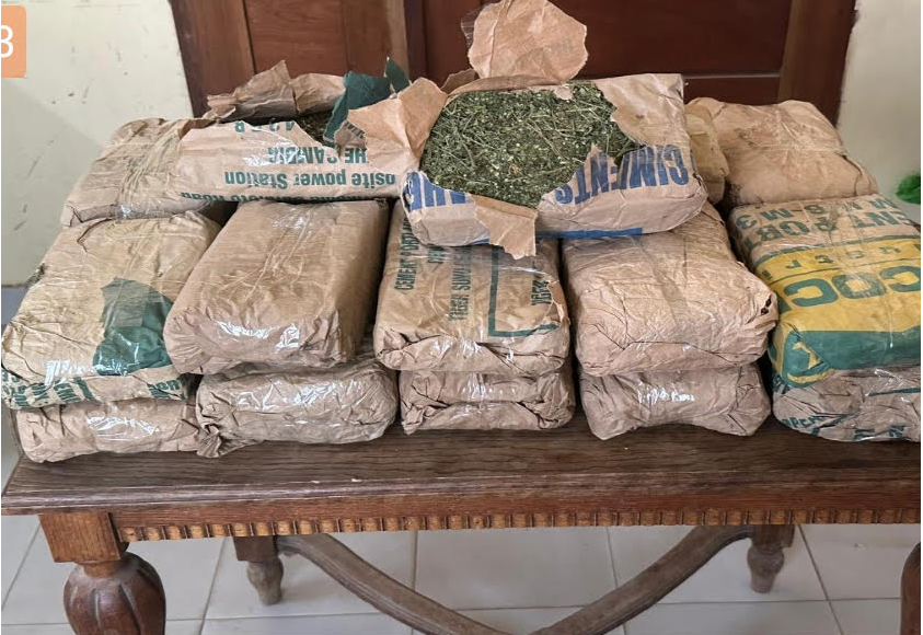 Saly : 23 kg de chanvre indien saisis après la fuite spectaculaire de deux trafiquants...