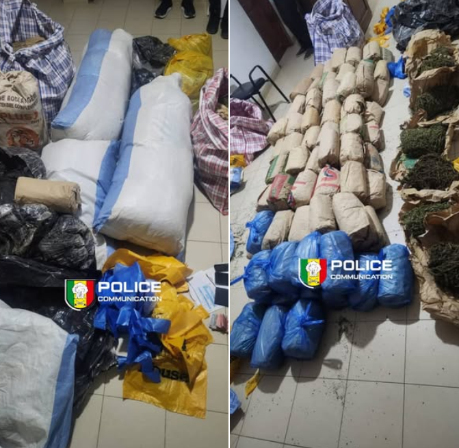Niacoulrab : 108 kg de chanvre indien saisis, un réseau de narcotrafic démantelé
