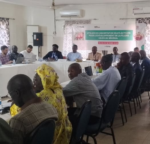 Valorisation de la filière anacarde : Mise en place d’un cadre de concertation des acteurs pour booster son développement…