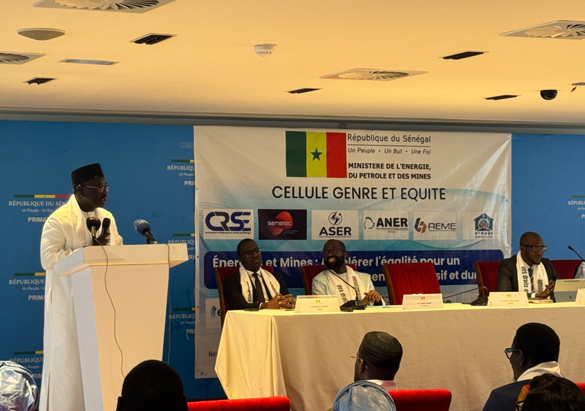 Energie, Pétrole et Mines : Birame Soulèye Diop plaide pour une inclusion effective des femmes dans les secteurs stratég