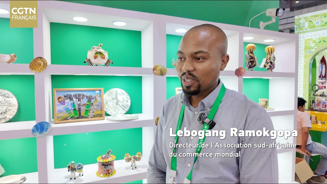 Chine-Afrique : Vers un nouvel âge d'or commercial grâce à la libéralisation des échanges ?