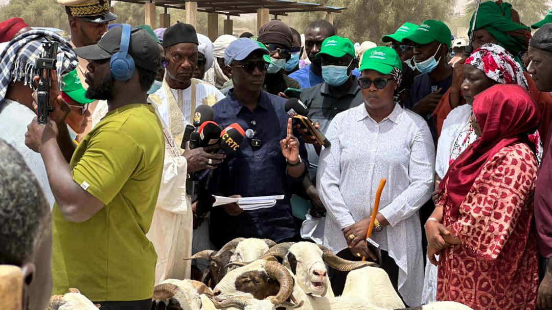 Tabaski 2026 à Dahra Djoloff : le défi du ministre Mabouba Diagne, « fournir 900.000 moutons pour compléter les 2 millions nécessaires »