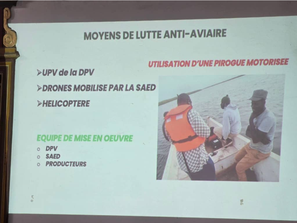 Saint-Louis : Les autorités préparent la campagne de lutte anti-aviaire 2026 dans la vallée du fleuve Sénégal