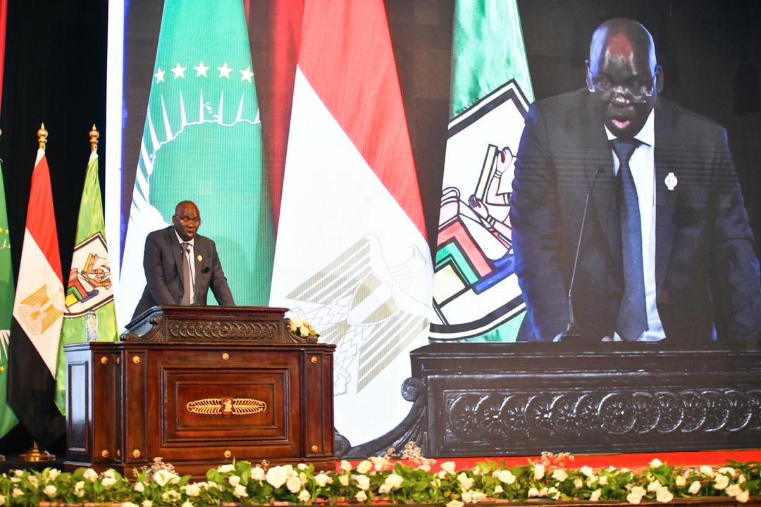 L'Université du Caire célèbre l'Afrique : Le Sénégal à l'honneur, représenté par son député Mbaye Dione