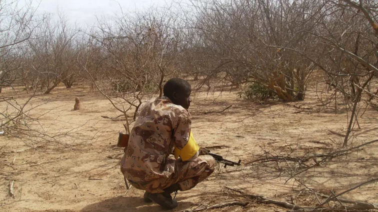 Mali: les autorités créent des «zones d’intérêt militaires» interdites aux civils dans près de 40 forêts