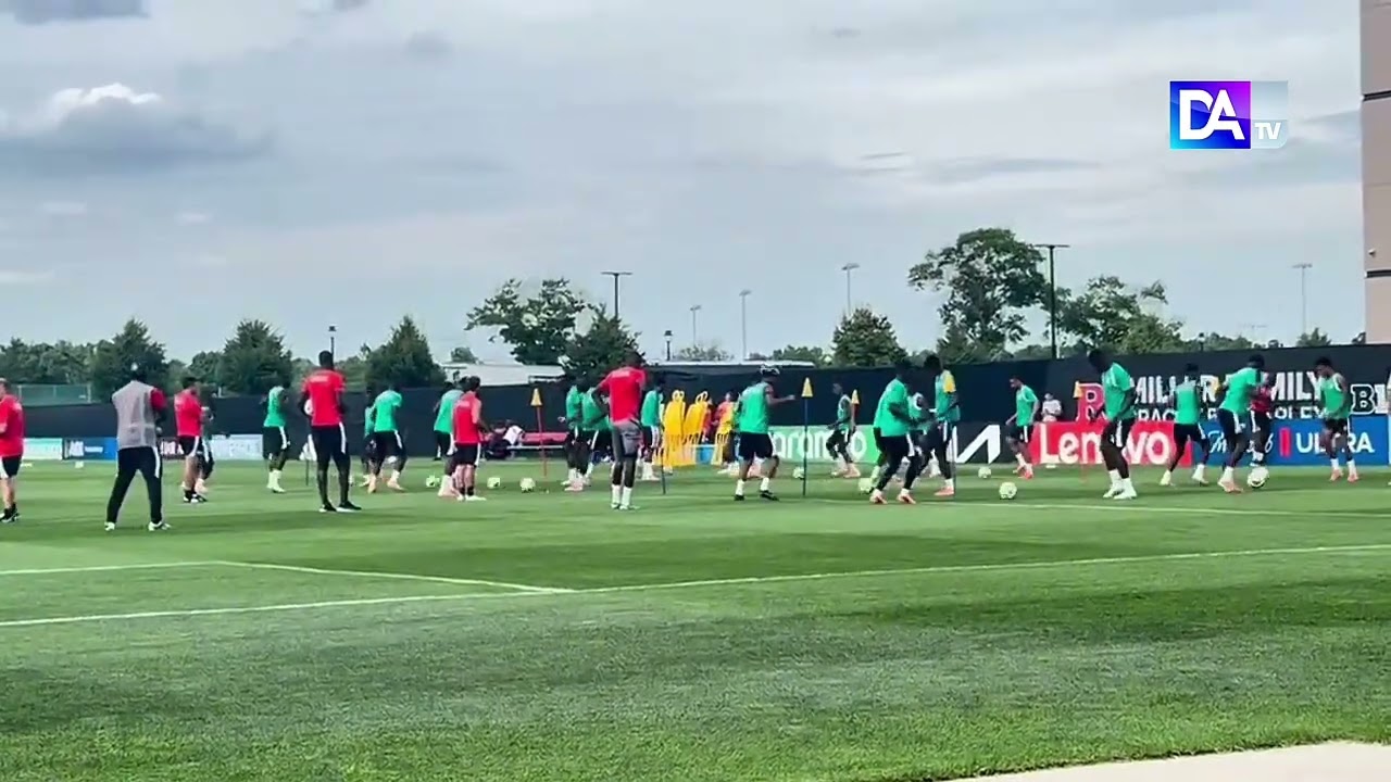 Séance d'entraînement des Lions avant le match contre la France : l'équipe en forme