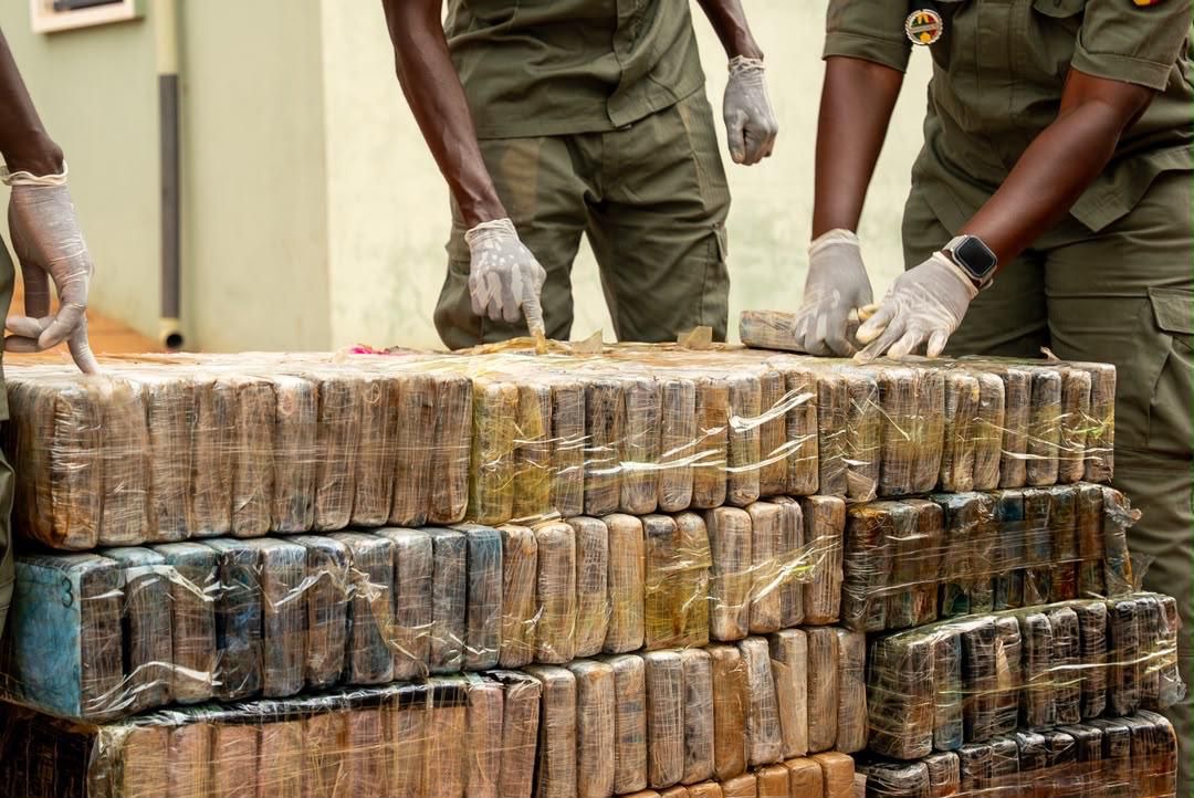 Trafic de drogue : La Brigade des Douanes de Koumpentoum saisit 970,6 kg de cocaïne pure évalués à 58 milliards CFA