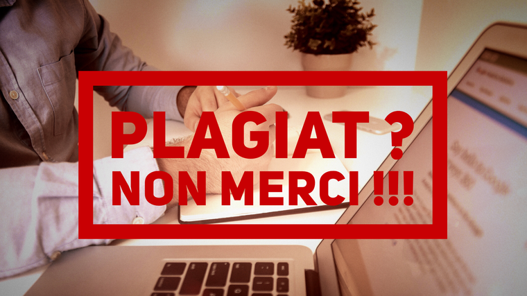 Soupçons de plagiat dans un projet de développement : Des sénégalais établis en France réclament des clarifications aux autorités