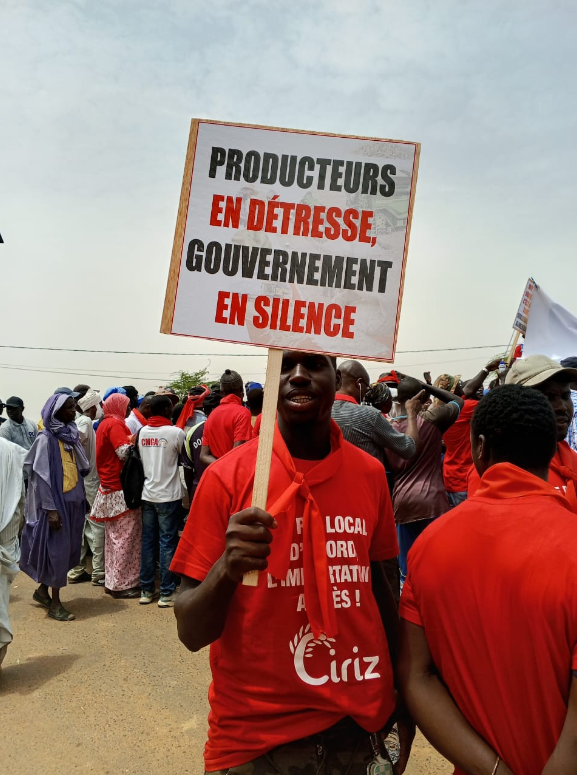Saint-Louis : Mévente dans la filière riz, les producteurs de la vallée réclament le départ du ministre Serigne Gueye Diop