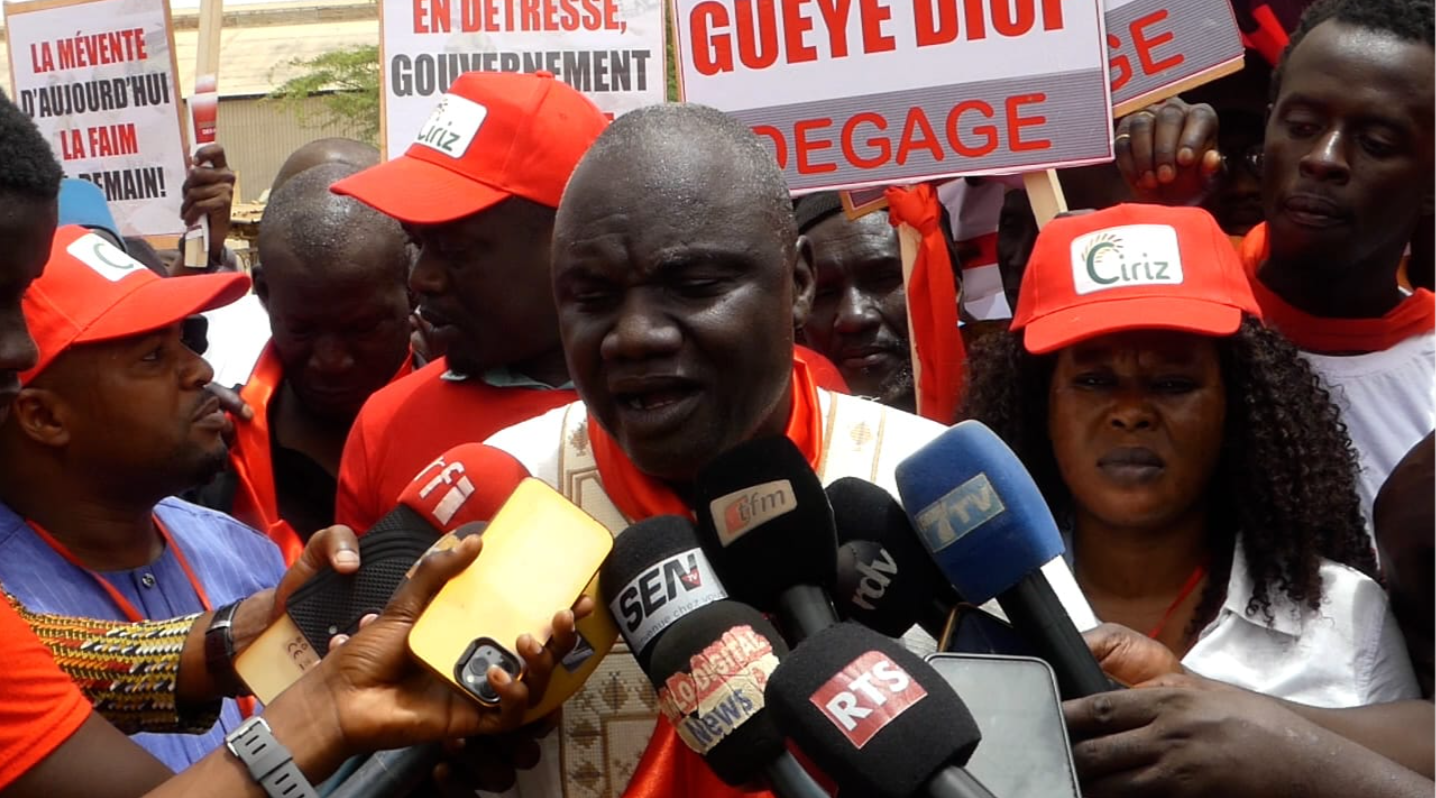 Saint-Louis : Mévente dans la filière riz, les producteurs de la vallée réclament le départ du ministre Serigne Gueye Diop
