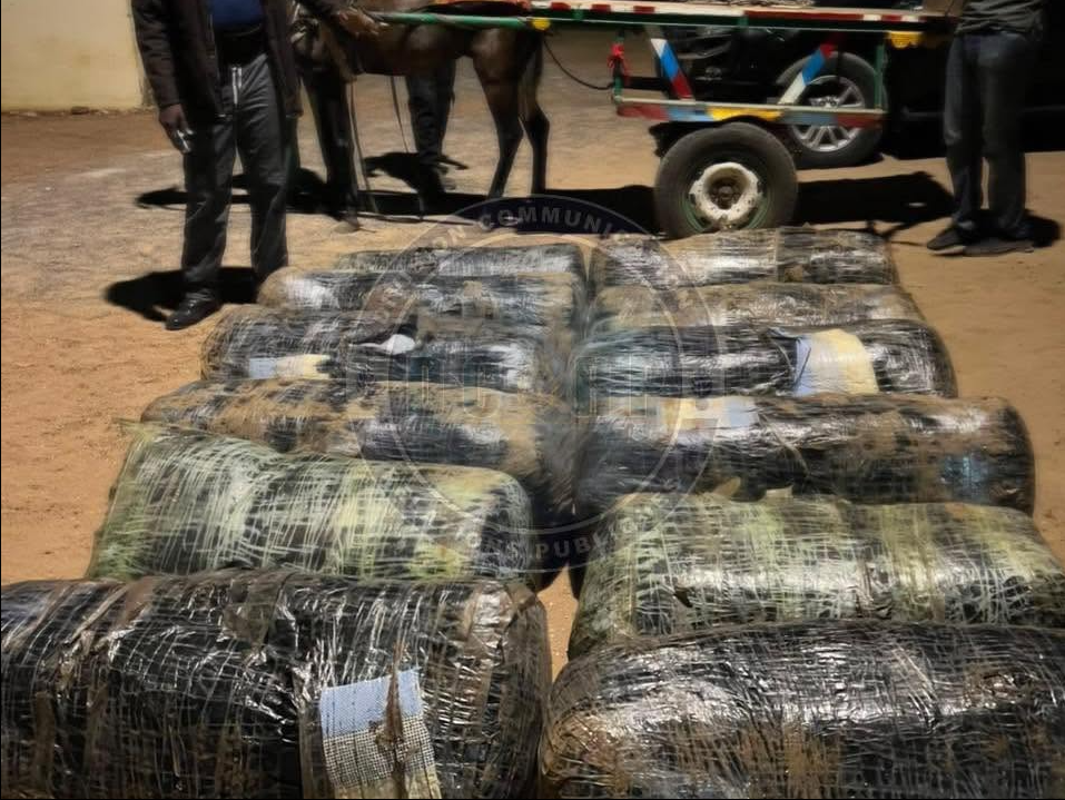 Lutte contre le trafic de drogue : 360 Kg de chanvre indien saisis à Joal