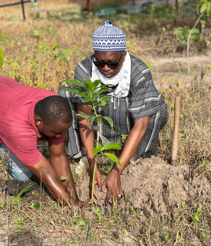 Journée nationale de l'arbre : La cité religieuse de Saré Mamady et son khalife général Elhadji Chérif Alhaiba Aïdara donne l'exemple aux jeunes...