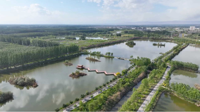 MIRACLE DE KEKEYA : un parc de zones humides construit sur le sable