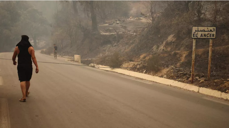 Incendies en Algérie: les autorités déclarent trois jours de deuil national