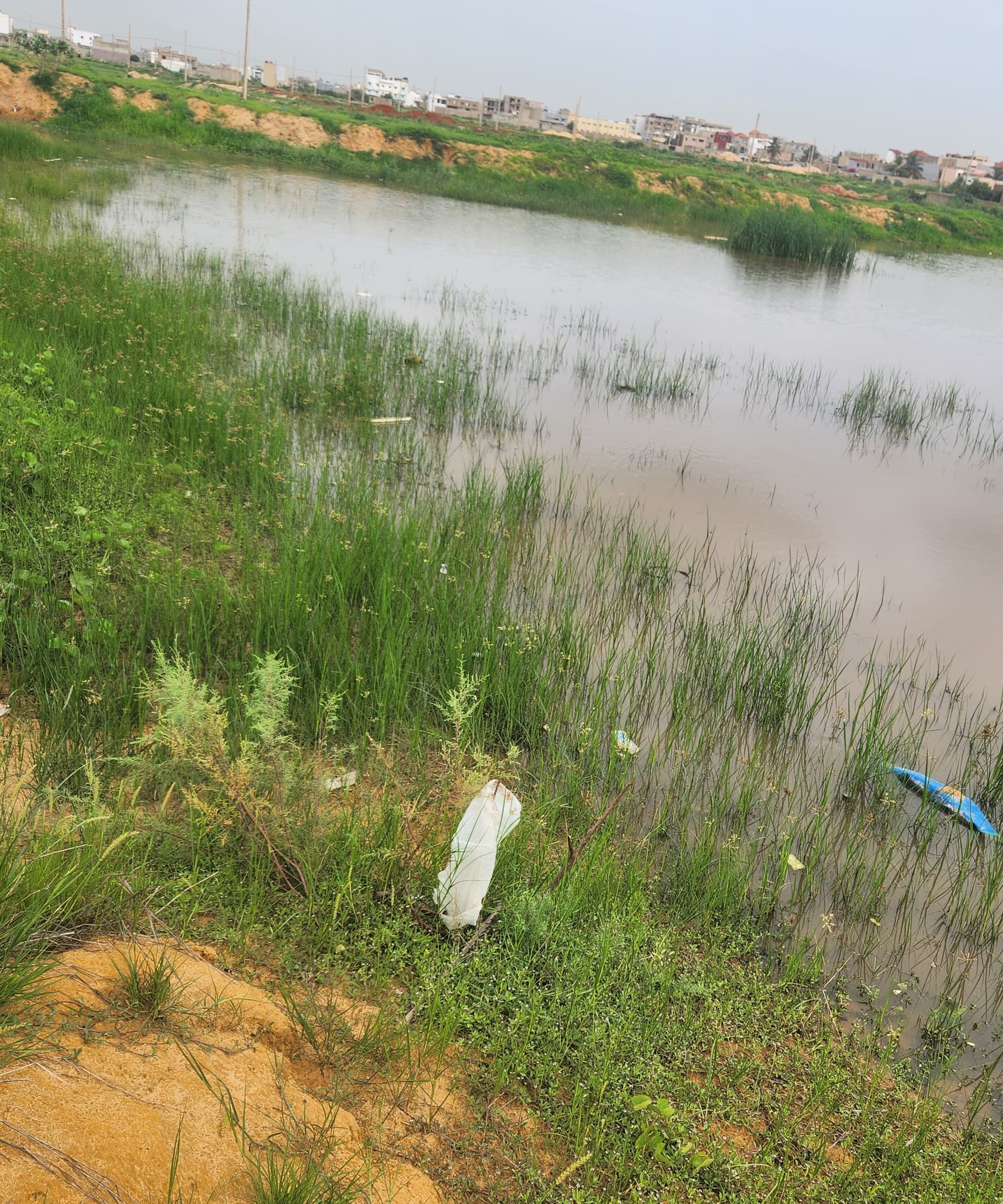 Inondations et enclavement des cités Oasis, Port, Air France et Darou Thioub : le Comité local de développement tire la sonnette d’alarme