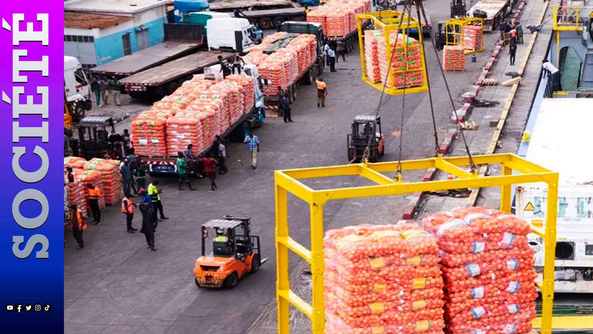 Oignons , Approvisionnement et stabilité des prix : le gouvernement Sénégalais lève officiellement le gel des importations à partir de ce 31 août après plus de sept mois de régulation
