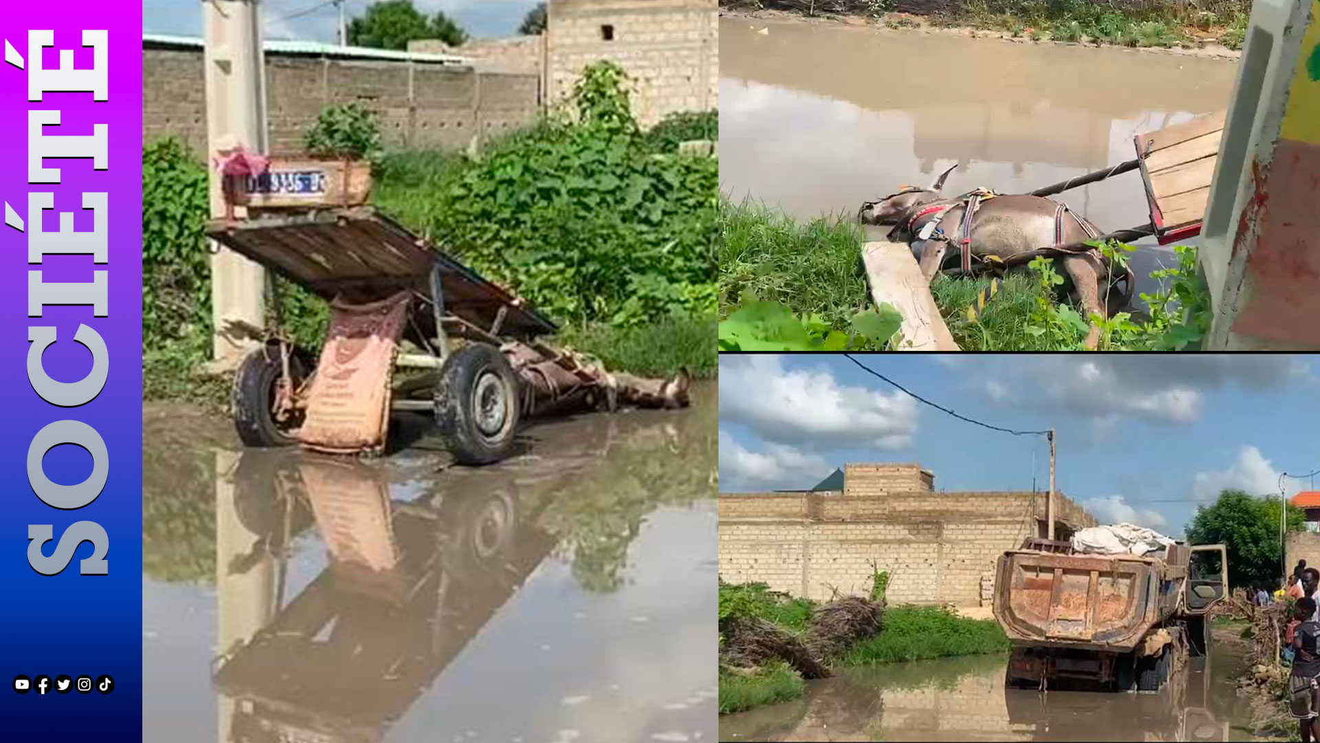 Niolanème (Mbadakhoune): un câble électrique en contact avec les eaux de pluie tue un âne, le charretier sauvé de justesse