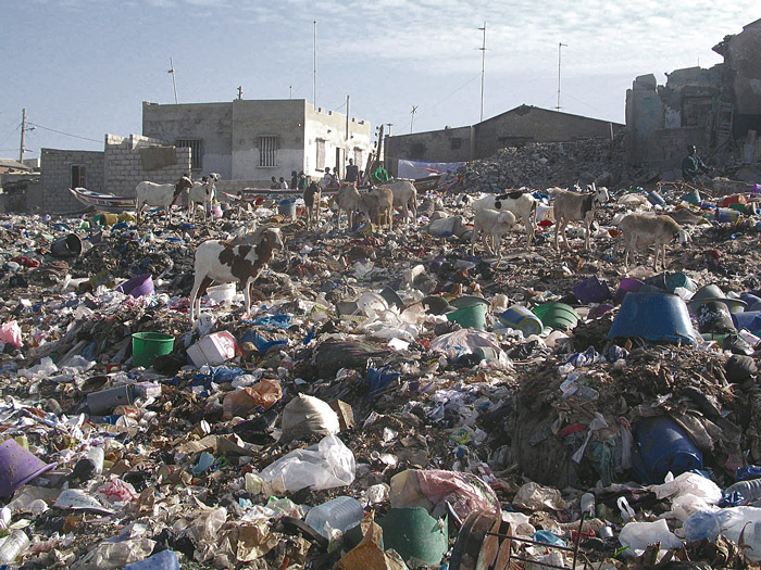 Décharge de Thiès : La population de Keur Massamba Guèye face à des problèmes de santé publique et environnementaux
