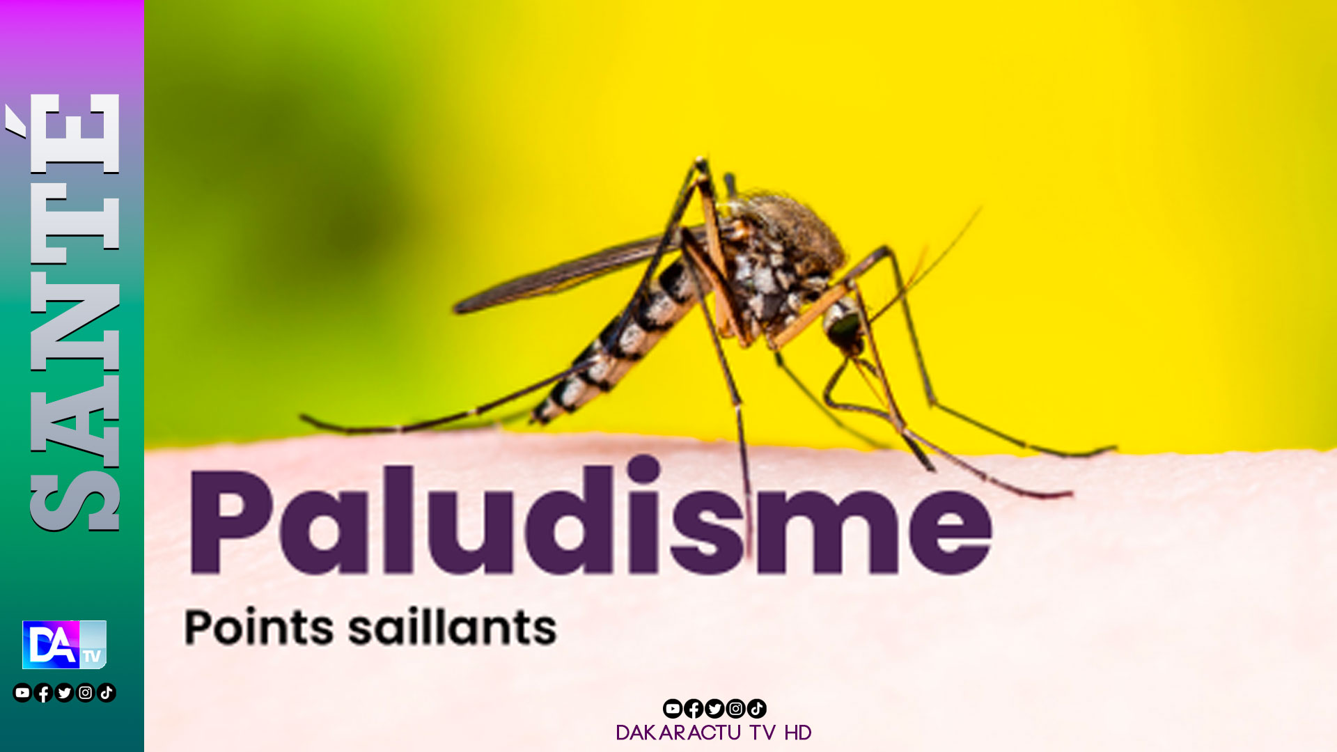 Paludisme : les décès reculent au Sénégal, mais le financement de l’élimination reste à trouver