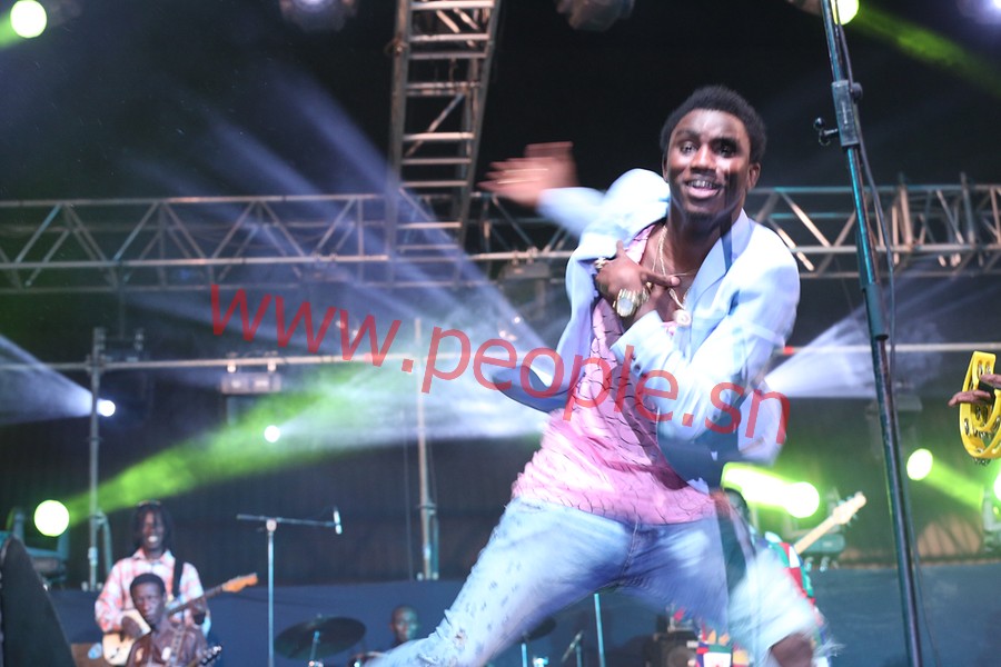 Les images du concert de Wally Ballago Seck hier au Cices