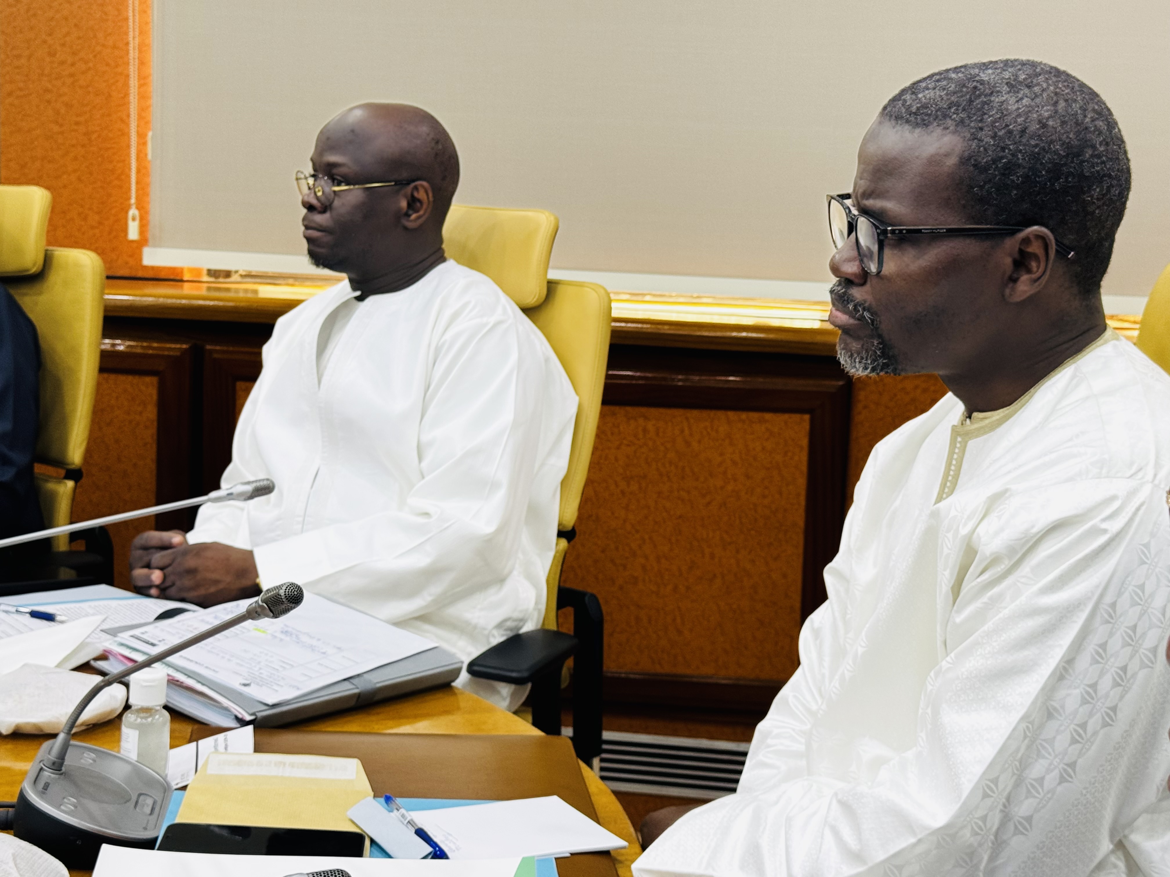 Conseil des ministres de l'UEMOA : Le Sénégal, pays hôte, représenté par Cheikh Diba et Allé Nar Diop