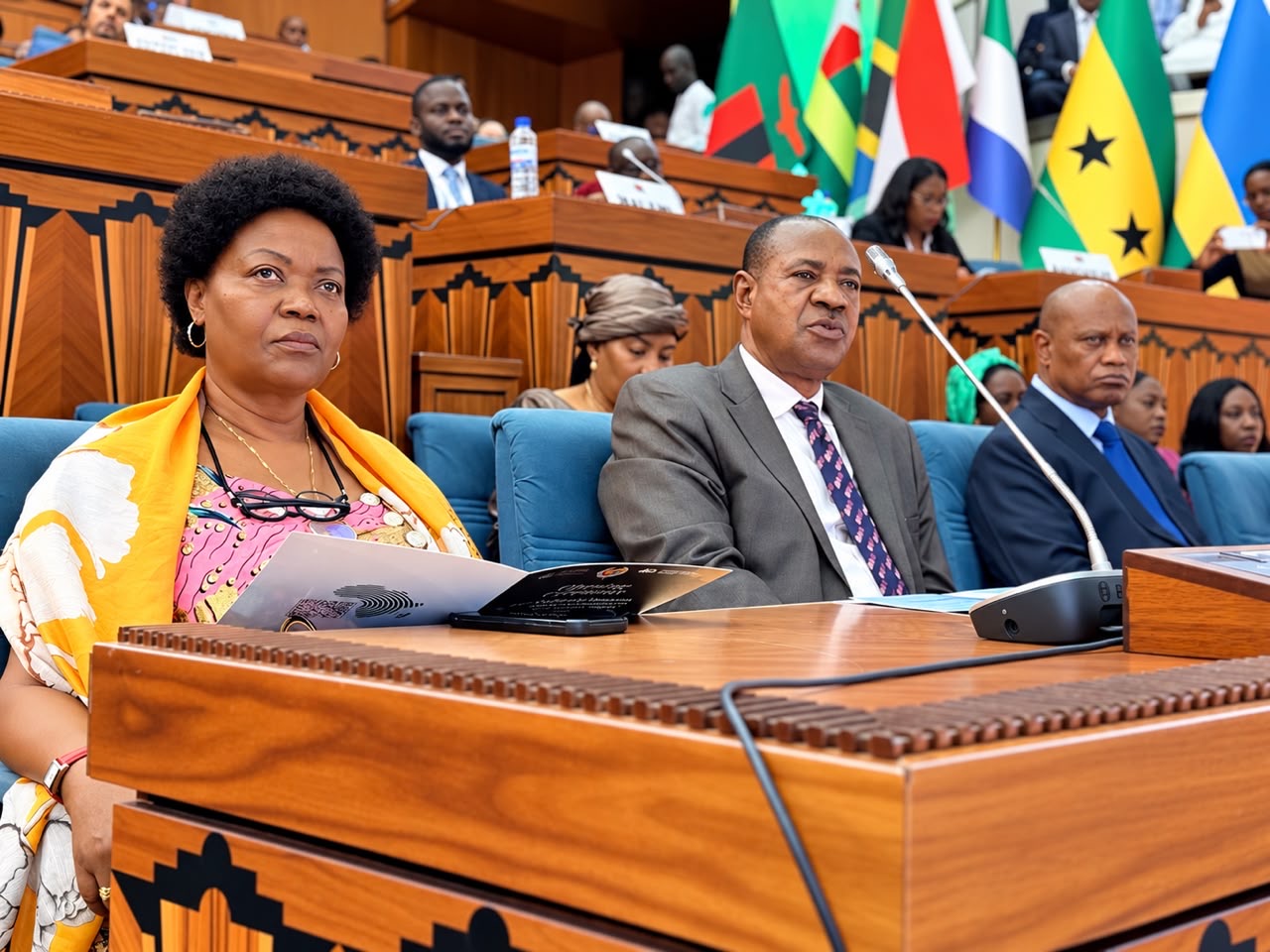 89ᵉ session de la Commission africaine des droits de l'homme et des peuples/ Idrissa Sow: « L'unité africaine ne peut être proclamée dans les textes et démentie dans la vie quotidienne »