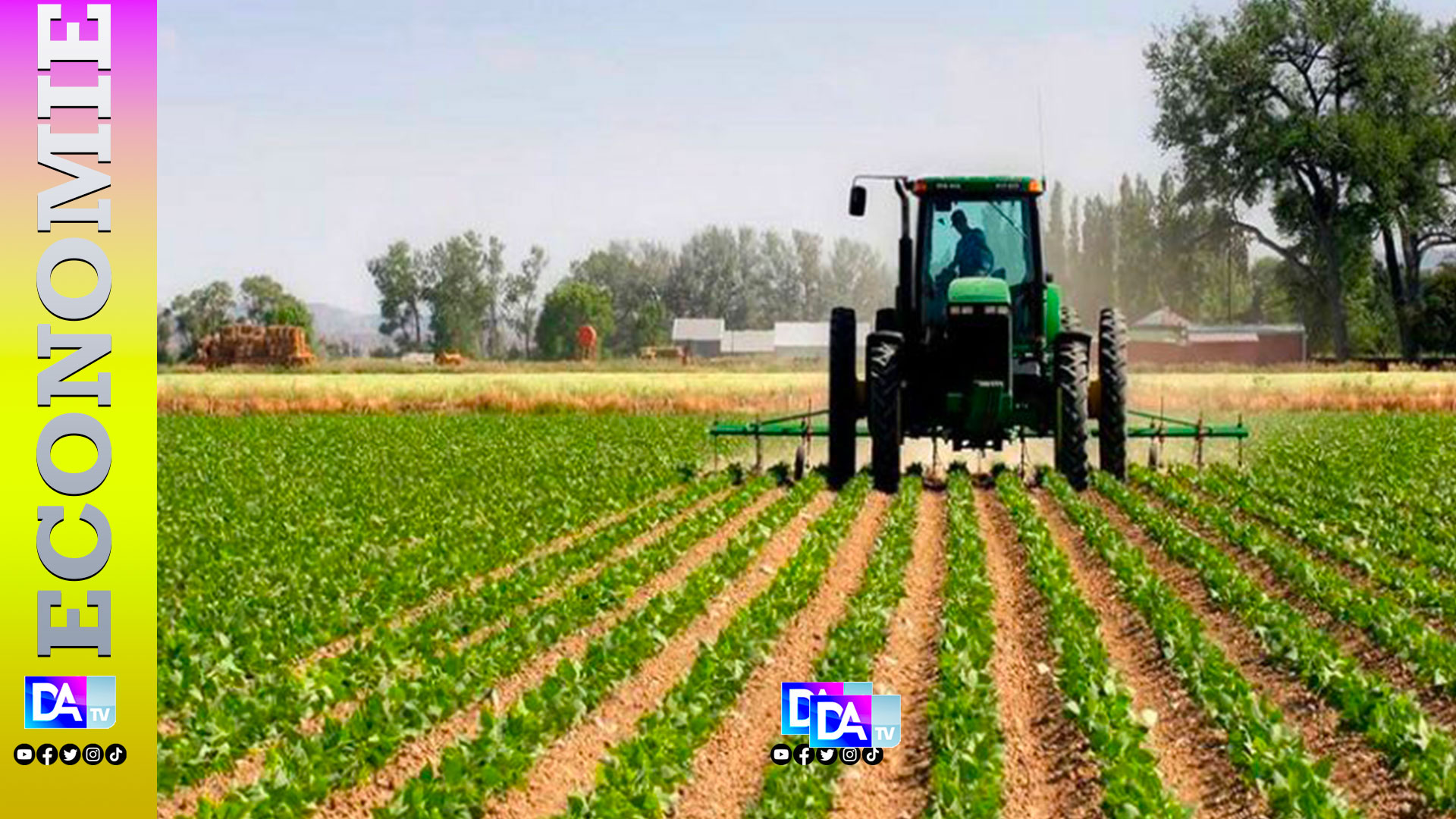 Commercialisation agricole : les 200 milliards annoncés face aux fragilités de la filière arachidière