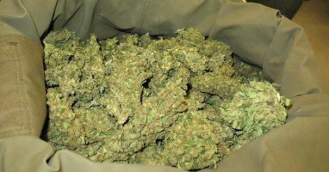 SAISIE DE 5 KG DE CHANVRE INDIEN À DIAMNIADIO (GENDARMERIE)