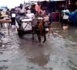TOUBA, LE MARCHÉ OCASS SOUS LES EAUX - La mairie dépassée par les évènements
