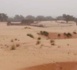 Mali: le groupe Etat islamique officialise sa présence au Sahel