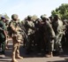VIDÉO : Moments de communion entre les forces de la CEDEAO et l'armée Gambienne 