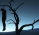 GANDIAYE : Un jeune homme de 25 ans retrouvé pendu à un arbre