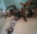 Arrestation de Samba Dia, chef du gang des braqueurs de Kédougou (IMAGES)