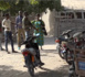 (Reportage) Ziguinchor : Le business du bois n'aime pas le bruit