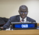 Fodé Seck, représentant du Sénégal auprès des Nations-Unies : “Le Sénégal a consulté 2.273 documents au Conseil de sécurité”