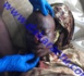 Violence post-électorale en Guinée Conakry : le jeune Mamadou Bailo Diallo mortellement touché par un gendarme (images choquantes)