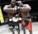 Remake : Rocky/Bombardier ficelé pour le mois de décembre à Dakar