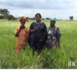 Incursion à Médina Chérif/Autosuffisance en Riz : Focus sur les braves femmes de l’Anambé