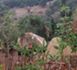 "Voyage au village de Nafissatou Diallo".